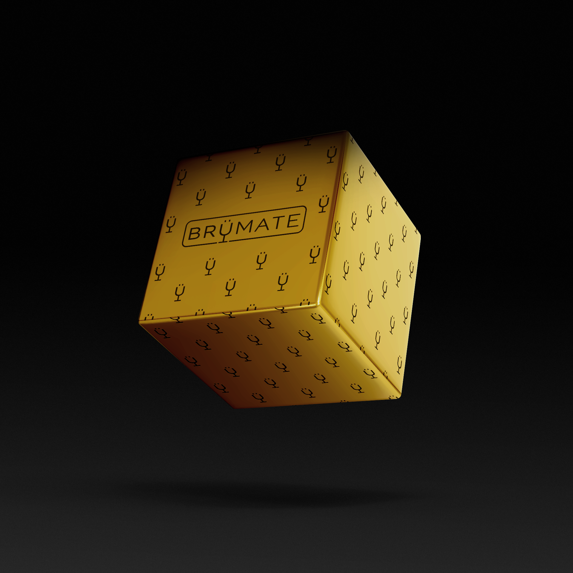 premium-mystery-item-39-70-value-c0 IMG-1548.png